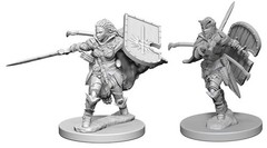 Pathfinder Battles Unpainted Minis - Human Female Paladin